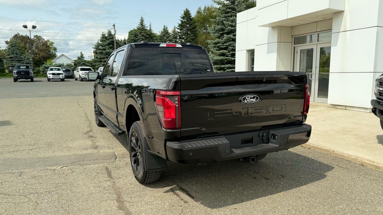2025 Ford F-150 XLT Photo