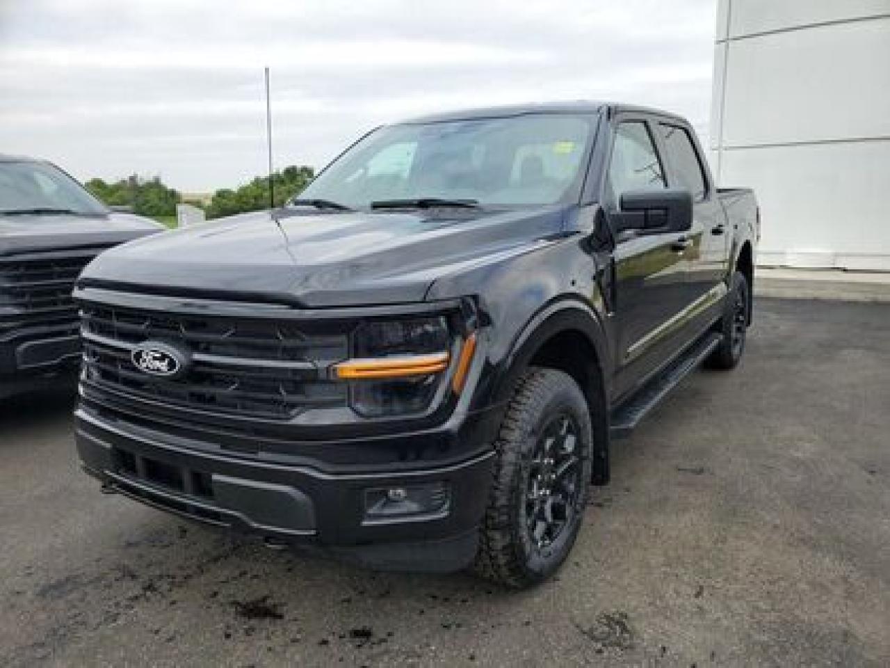 New 2025 Ford F-150 XLT W/ REAR VIEW CAMERA for sale in Moose Jaw, SK