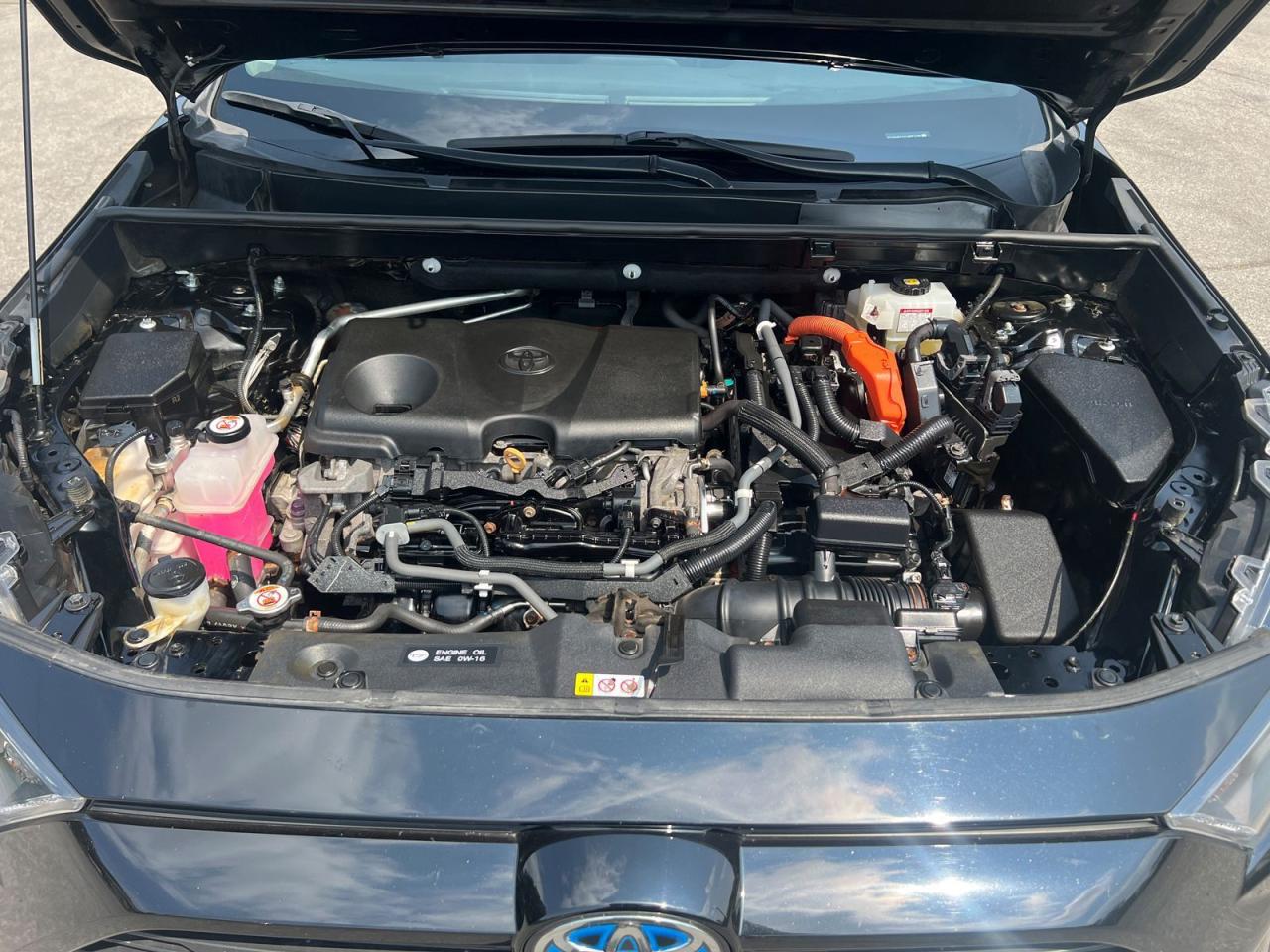 2020 Toyota RAV4 Hybrid LE - Photo #25