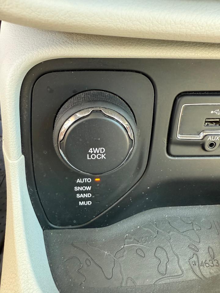 2015 Jeep Renegade North - Photo #16
