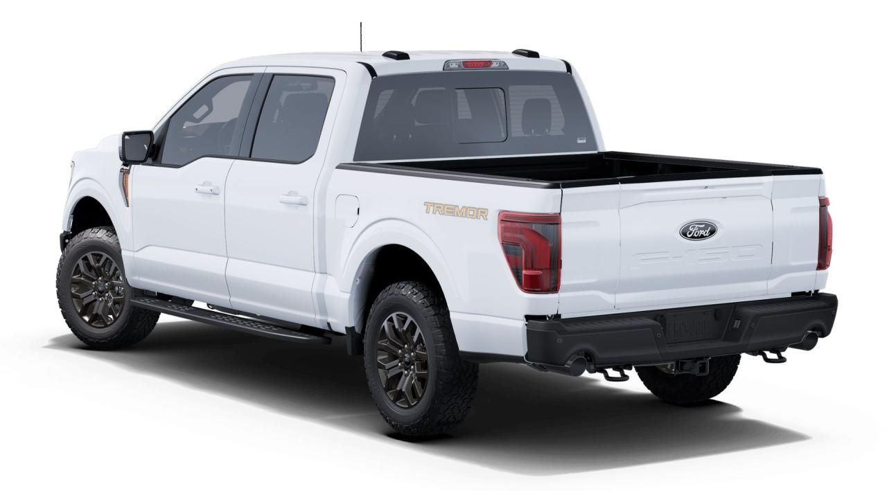 2025 Ford F-150 Tremor 4WD SuperCrew 5.5' Box Photo1