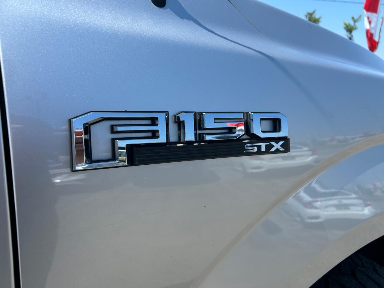 2019 Ford F-150 XL - Photo #3