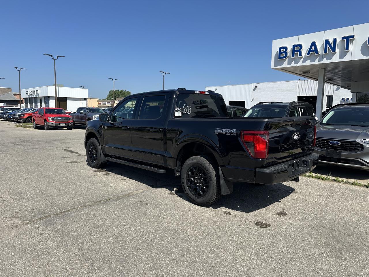 2025 Ford F-150 XLT Photo3