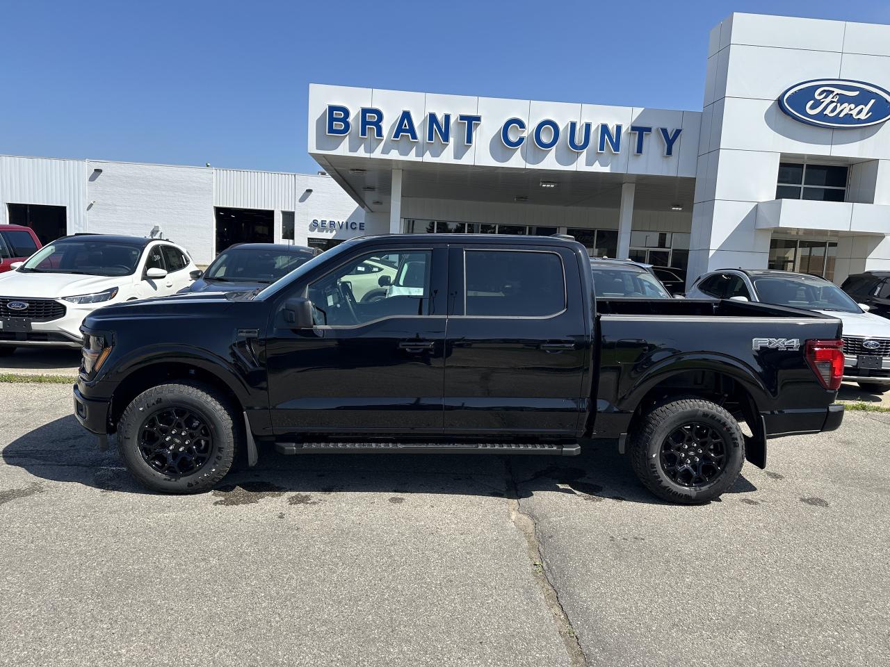 2025 Ford F-150 XLT Photo