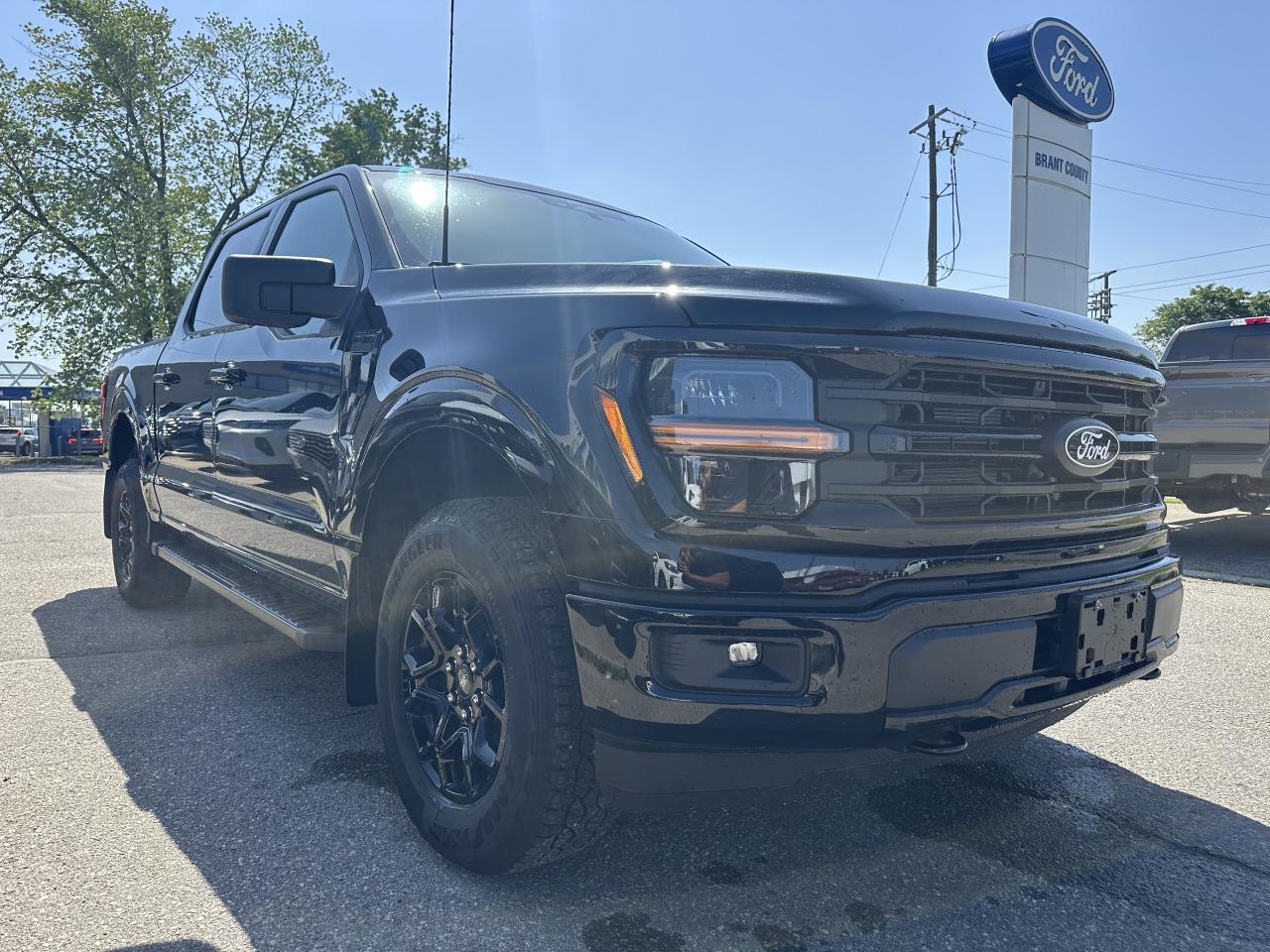 2025 Ford F-150 XLT Photo