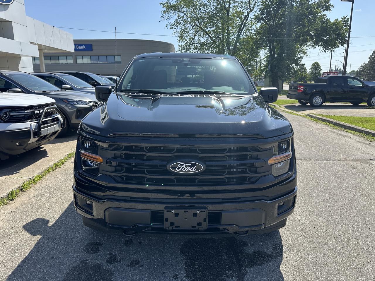 2025 Ford F-150 XLT Photo