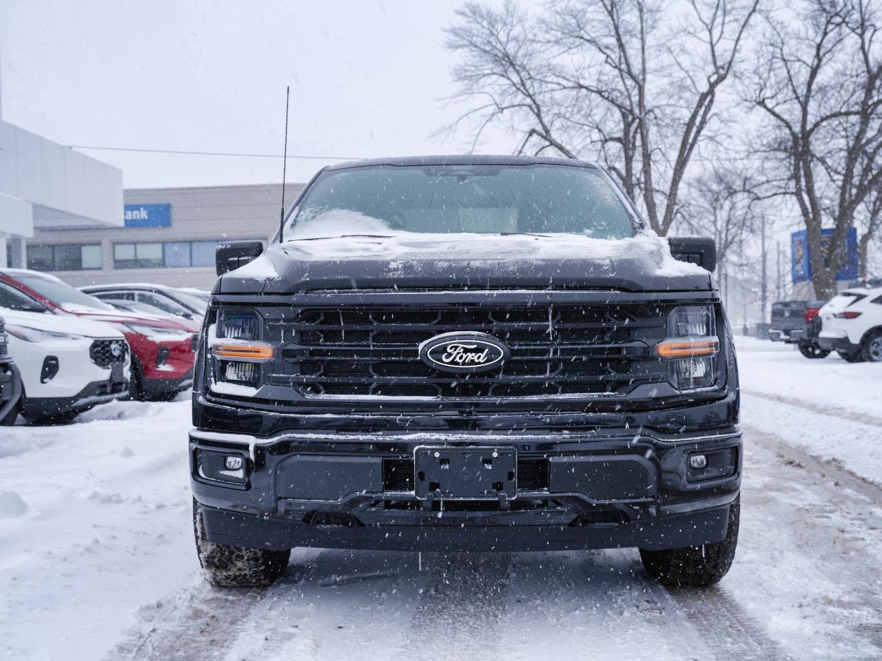 2025 Ford F-150 XLT/301 PKG/ WHAT A DEAL!! Photo