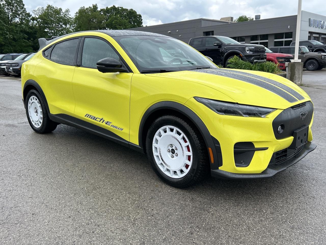 2025 Ford Mustang Mach-E GT Photo2