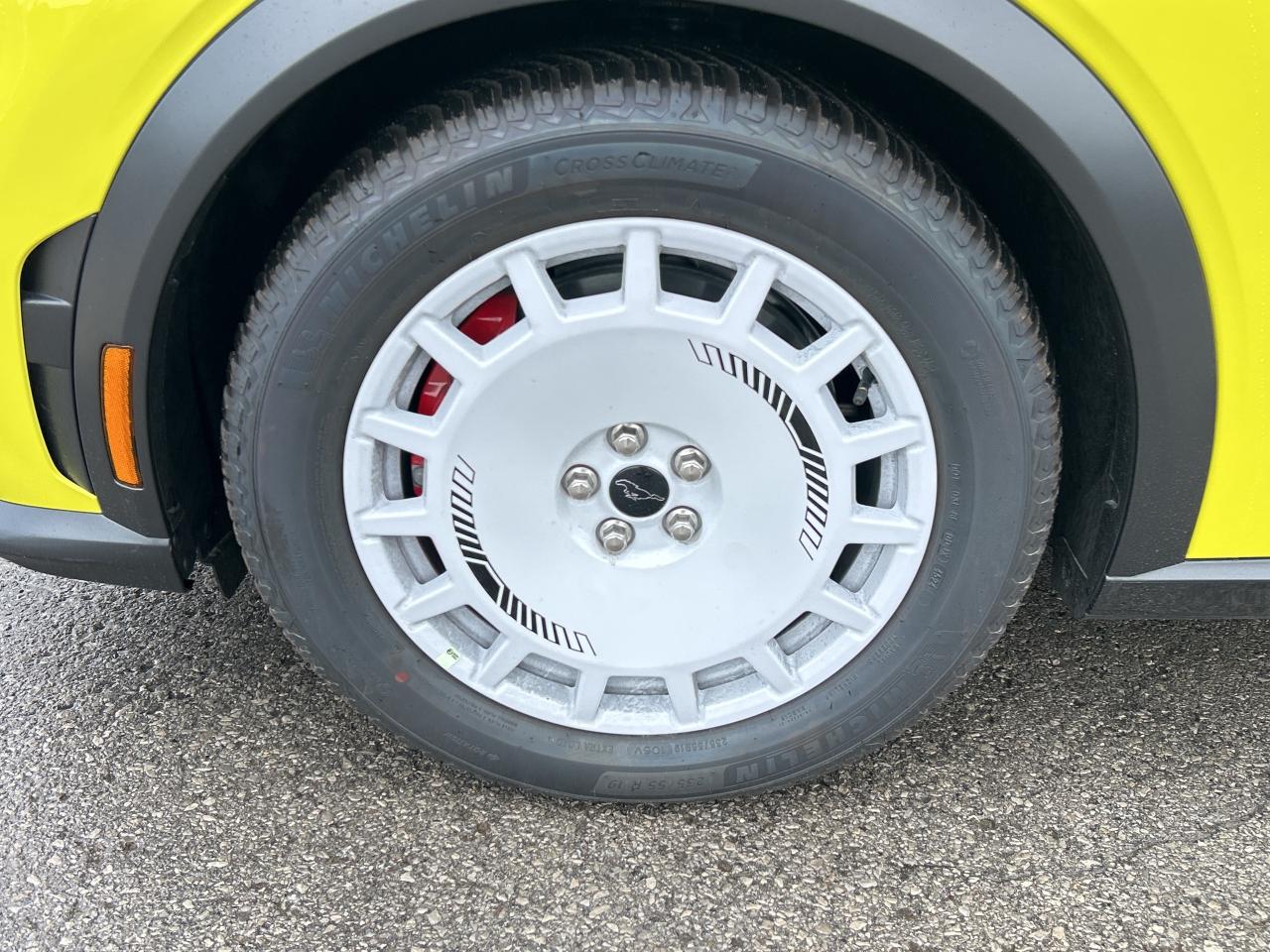 2025 Ford Mustang Mach-E GT Photo