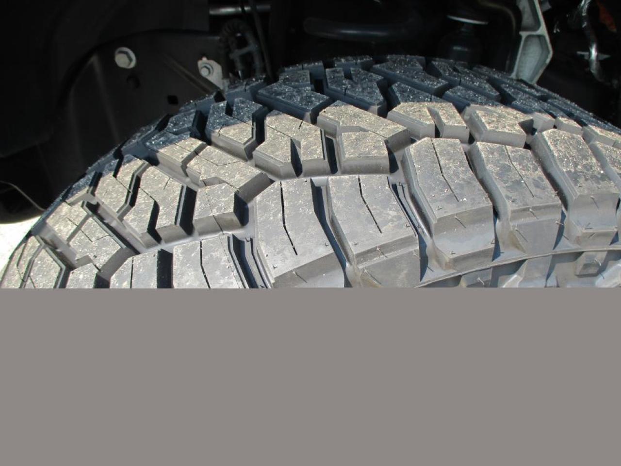 2025 Ford F-350 SD CREW PLATINUM PLUS H.O. Photo3
