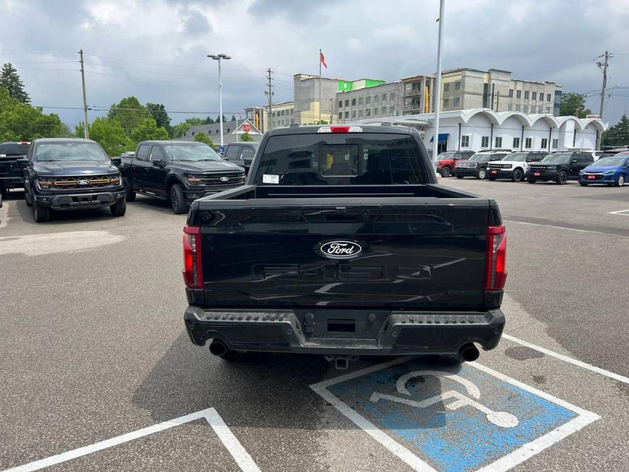 2025 Ford F-150 XLT Photo8