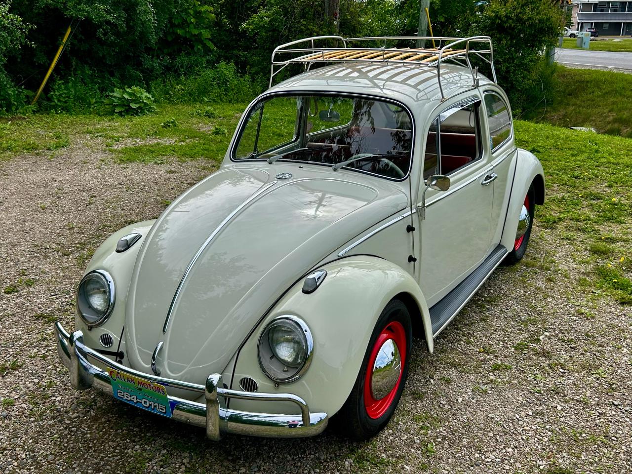 1965 Volkswagen Beetle  - Photo #36