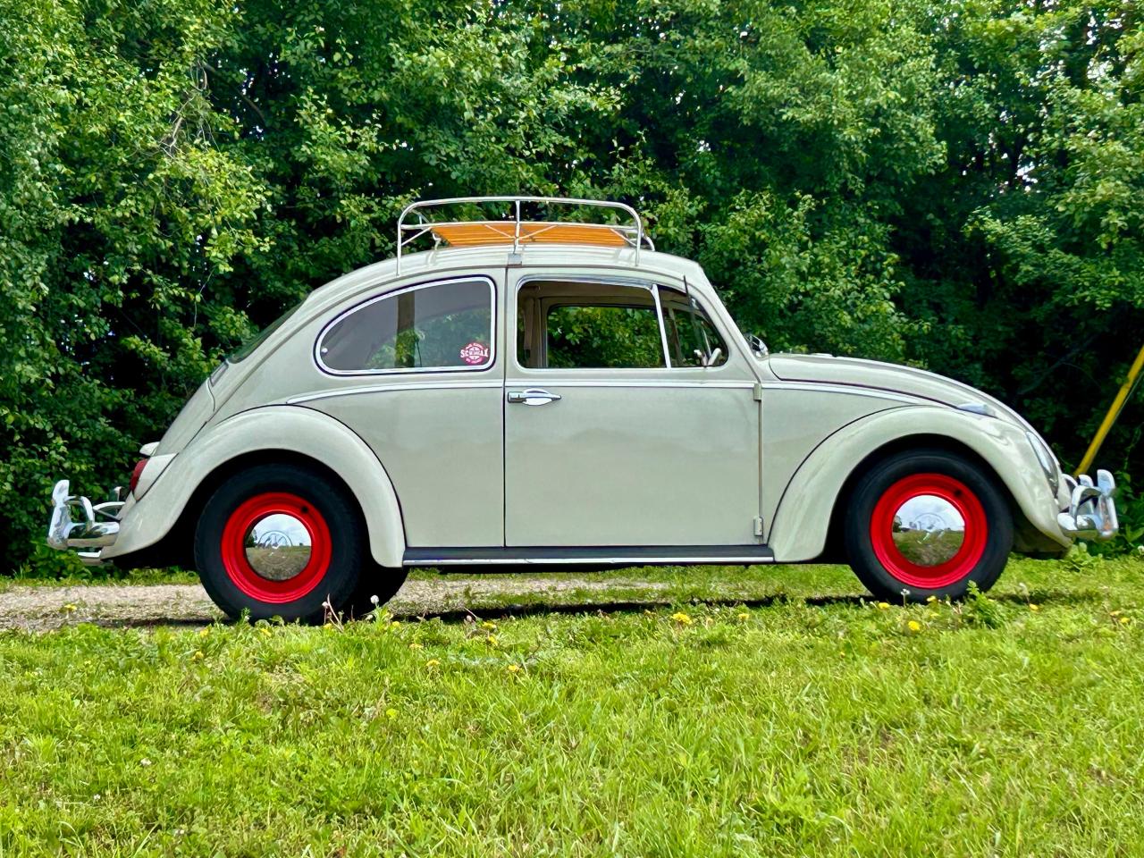 1965 Volkswagen Beetle  - Photo #44
