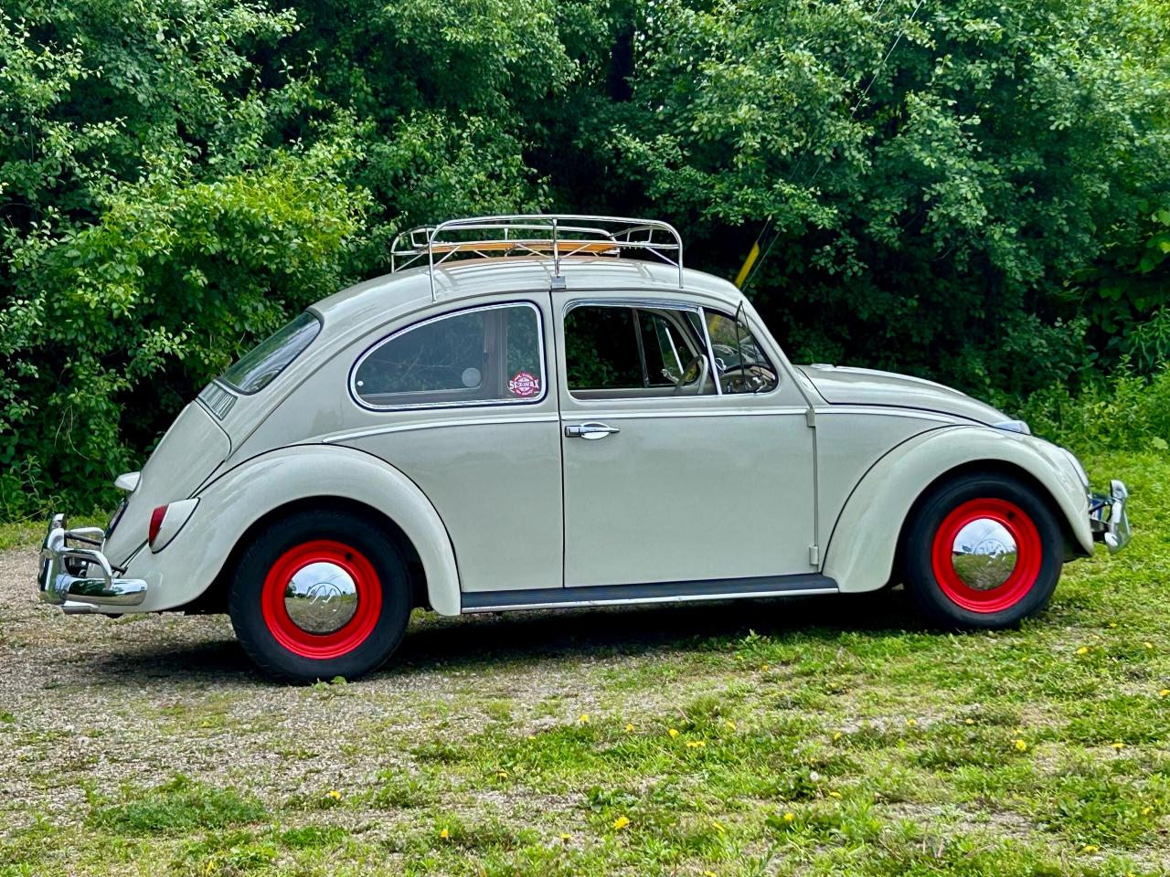 1965 Volkswagen Beetle  - Photo #43