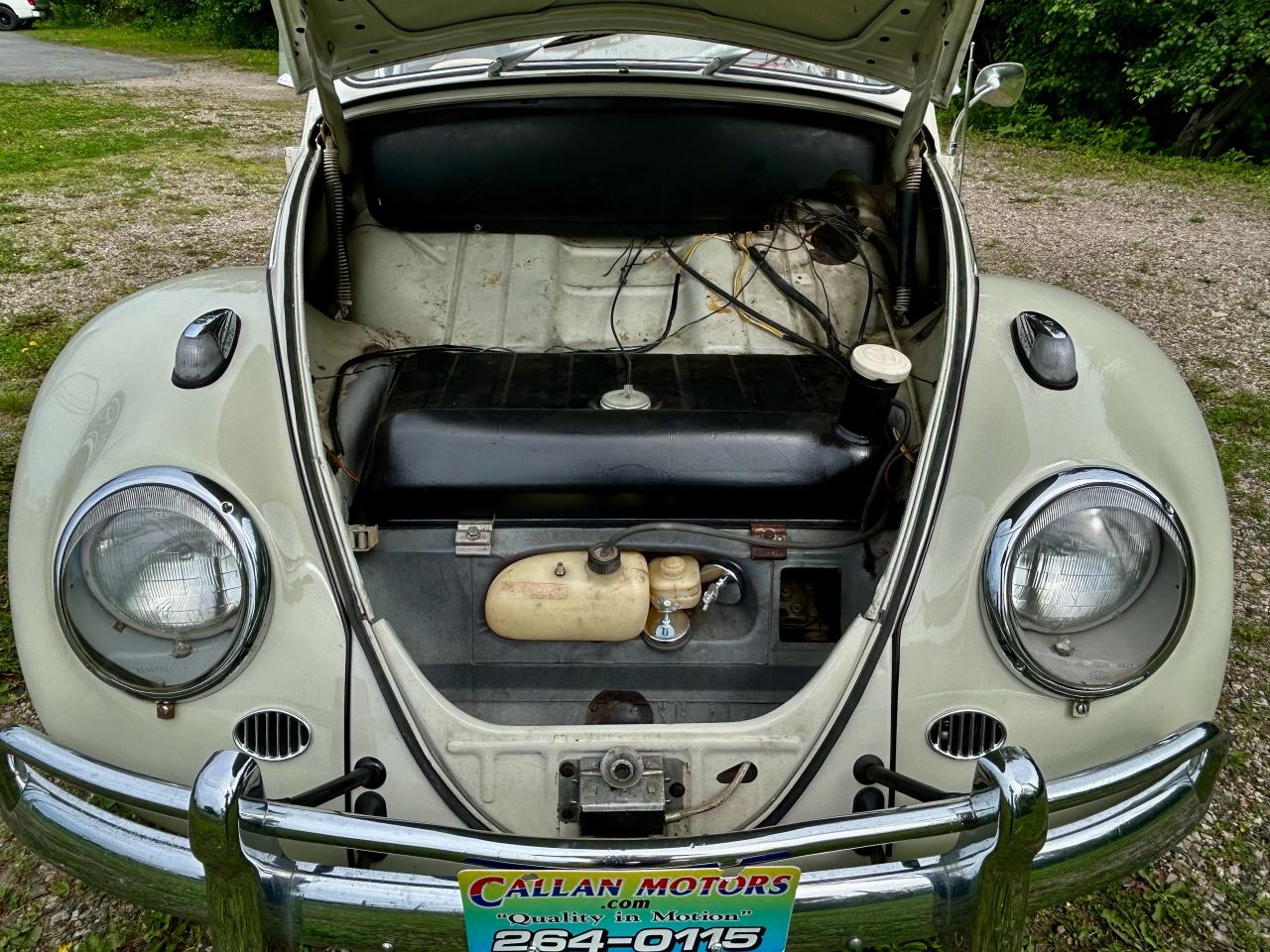 1965 Volkswagen Beetle  - Photo #47