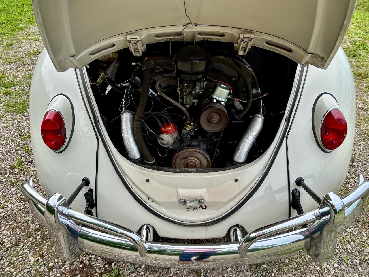 1965 Volkswagen Beetle  - Photo #46