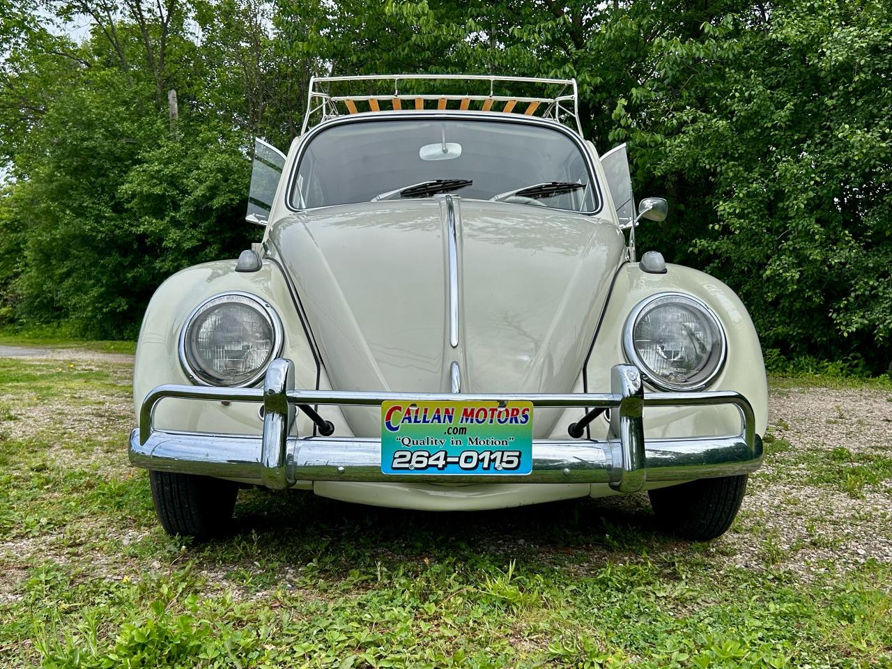 1965 Volkswagen Beetle  - Photo #38