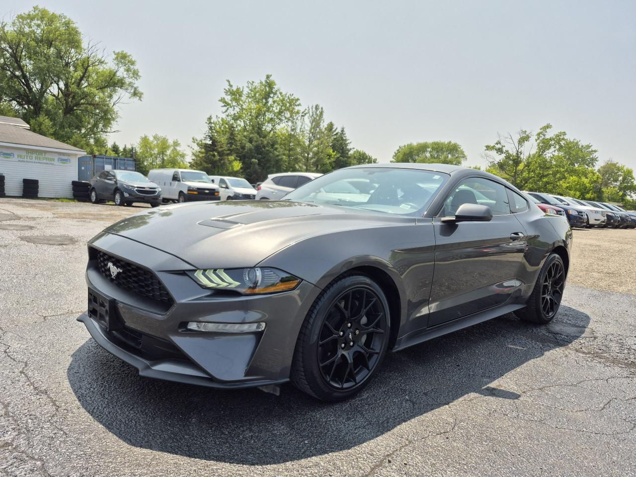 2019 Ford Mustang EcoBoost Premium Fastback Photo7