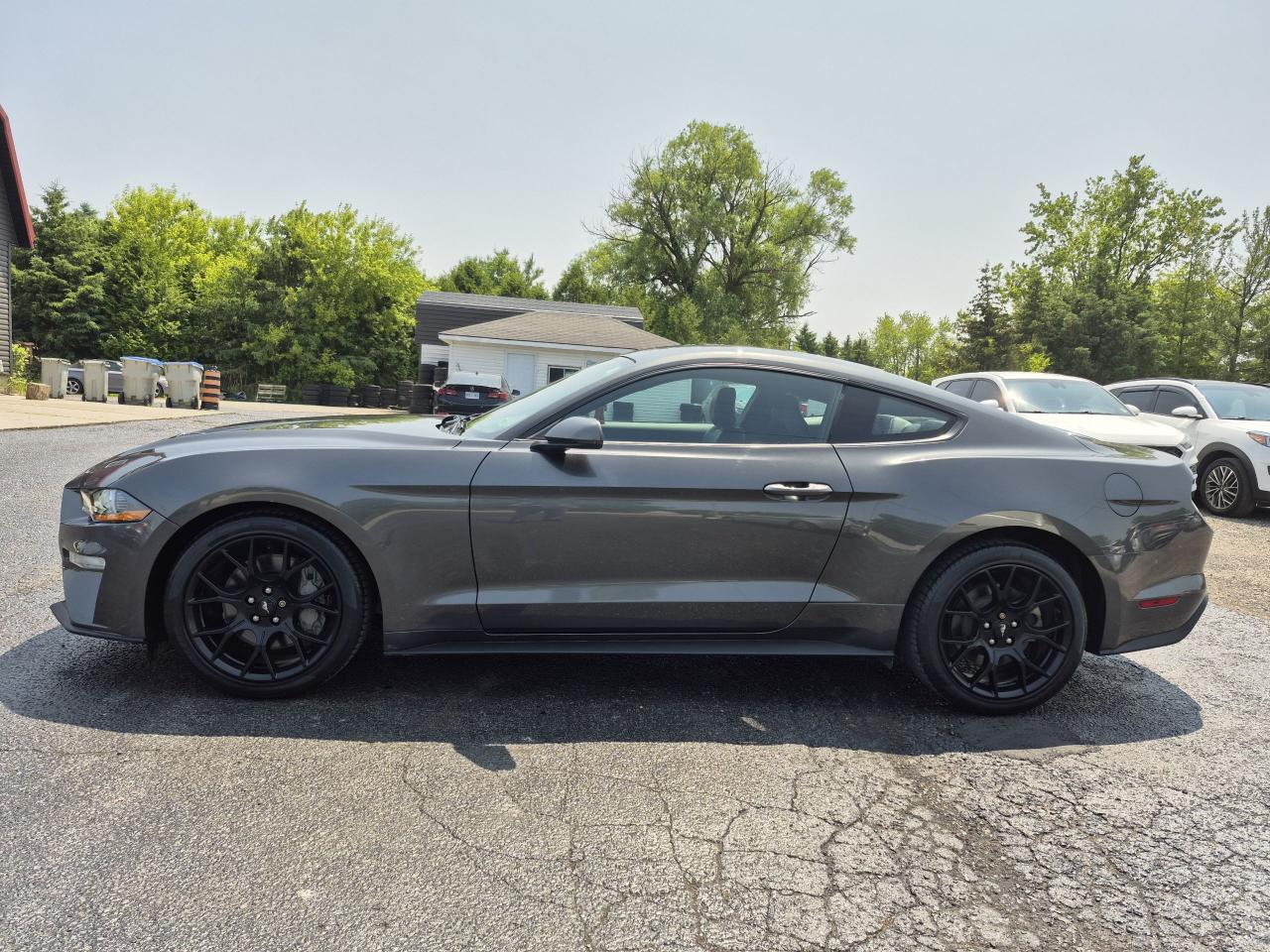 2019 Ford Mustang EcoBoost Premium Fastback Photo28