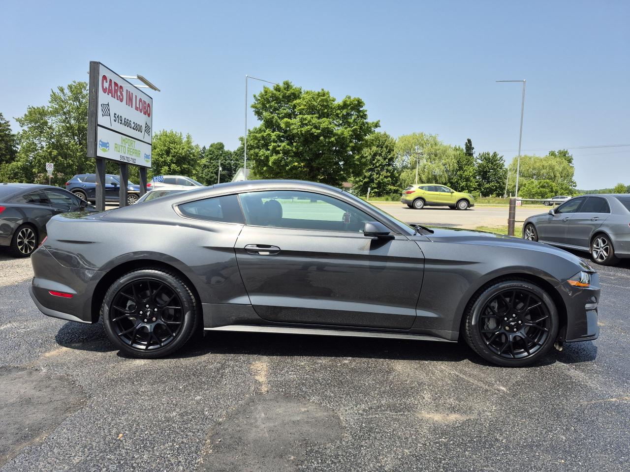 2019 Ford Mustang EcoBoost Premium Fastback Photo24