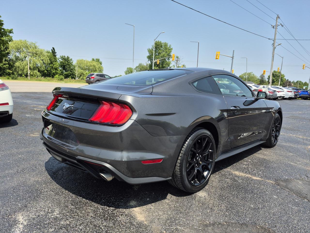 2019 Ford Mustang EcoBoost Premium Fastback Photo3