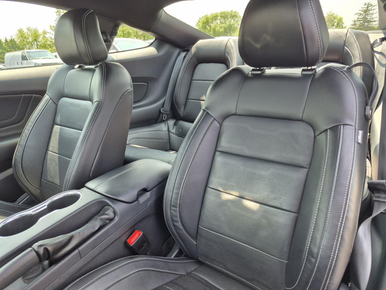 2019 Ford Mustang EcoBoost Premium Fastback Photo35