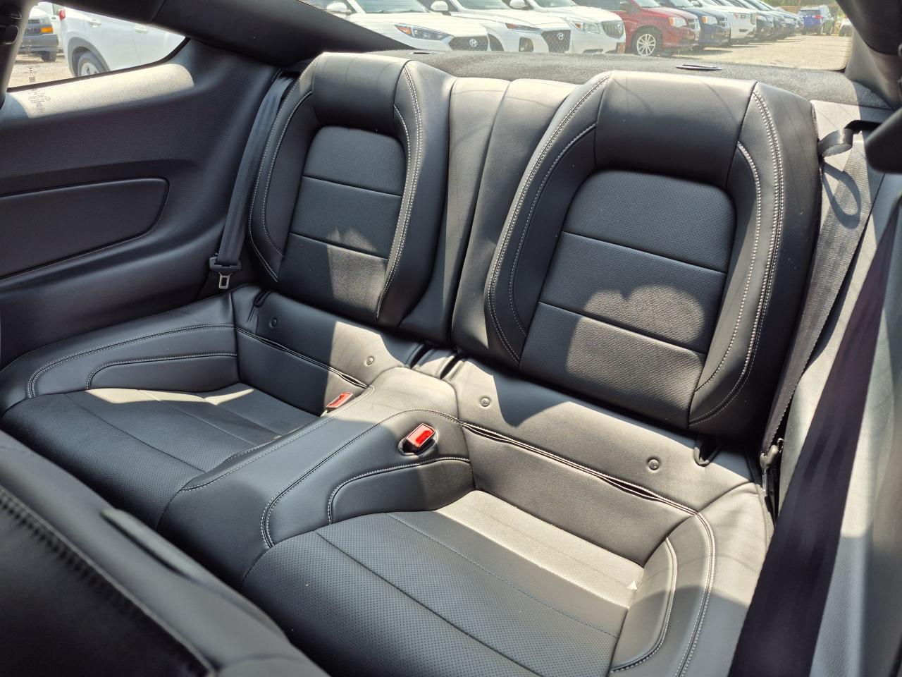 2019 Ford Mustang EcoBoost Premium Fastback Photo14