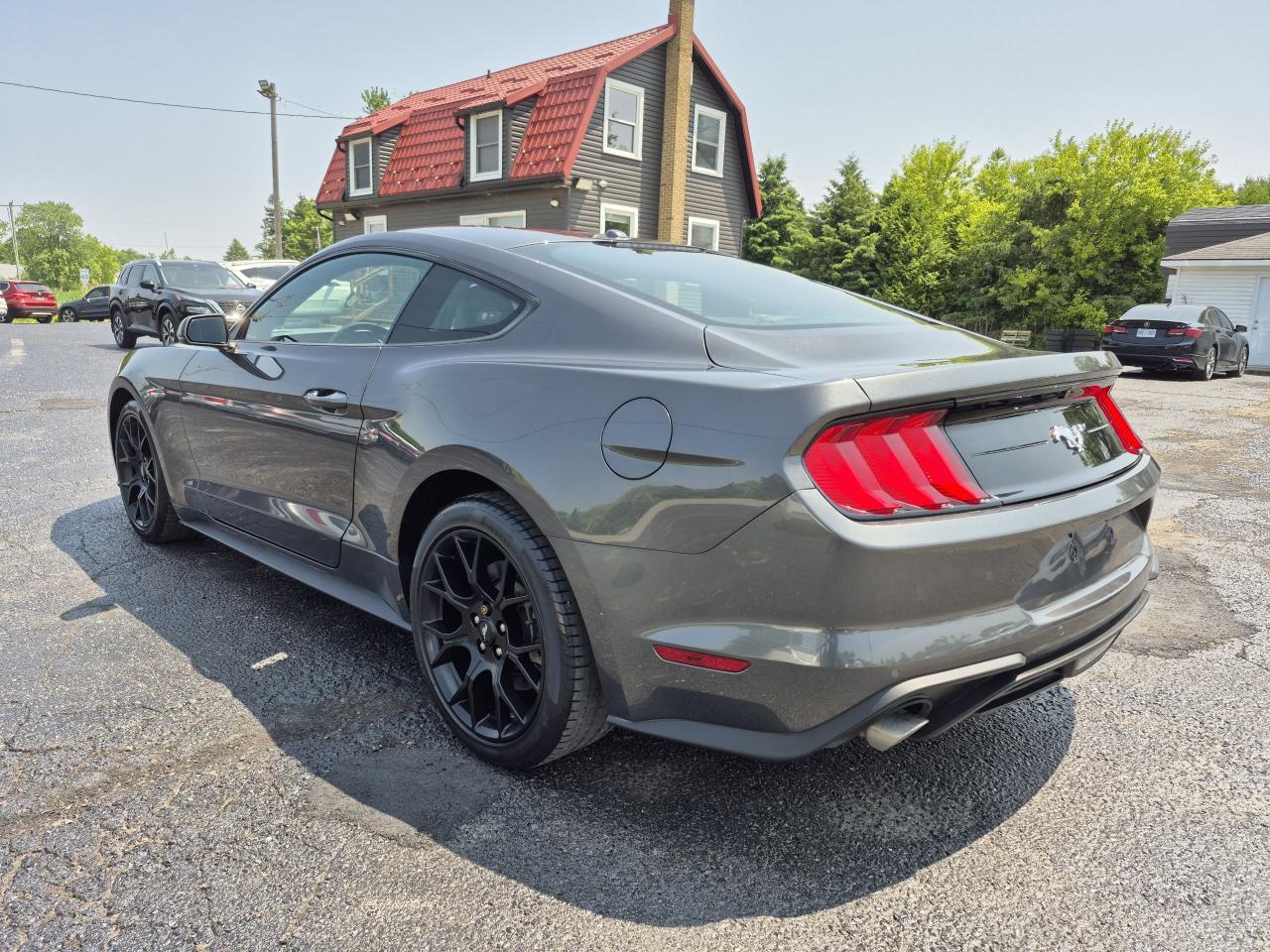 2019 Ford Mustang EcoBoost Premium Fastback Photo5