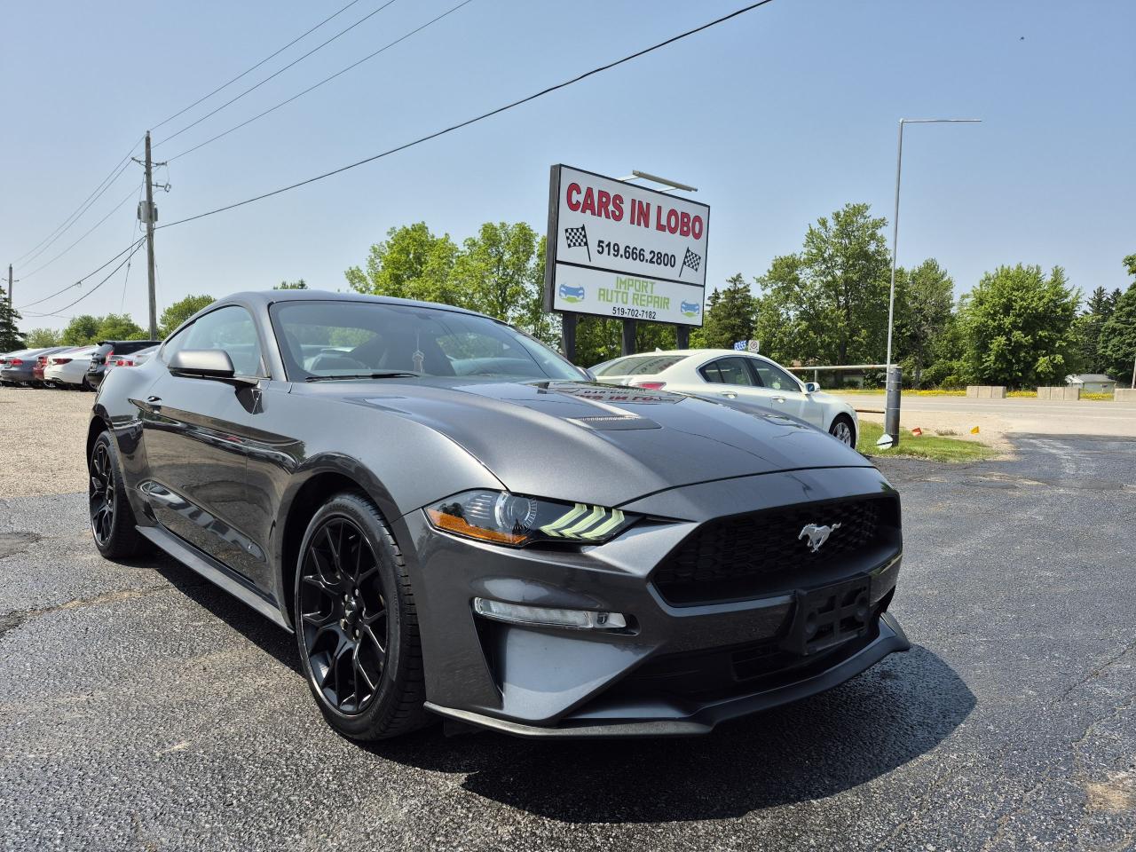 Used 2019 Ford Mustang EcoBoost Premium Fastback for sale in Komoka, ON