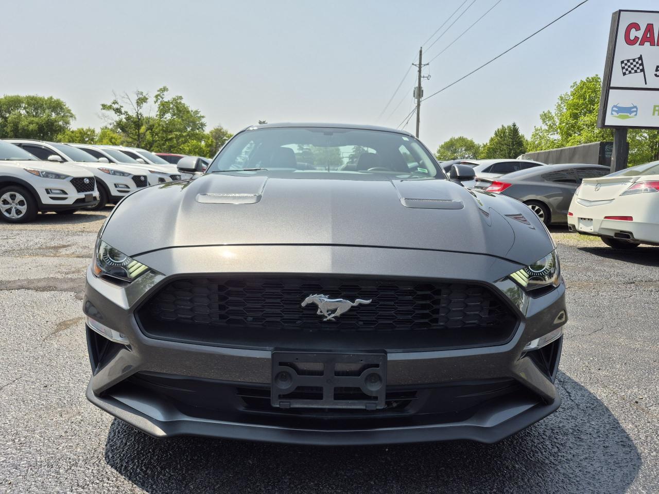 2019 Ford Mustang EcoBoost Premium Fastback Photo30