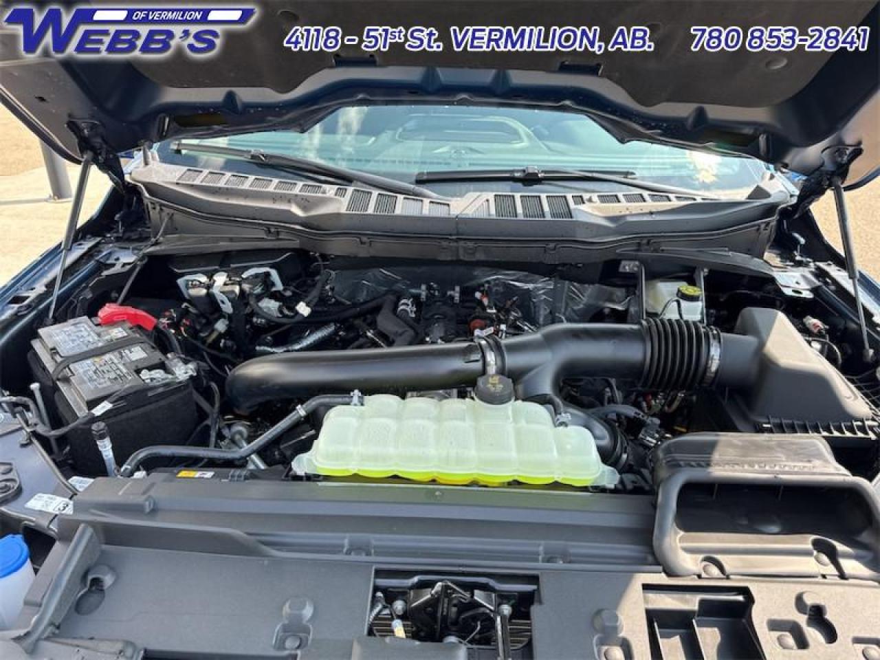 2025 Ford F-150 XLT Photo5
