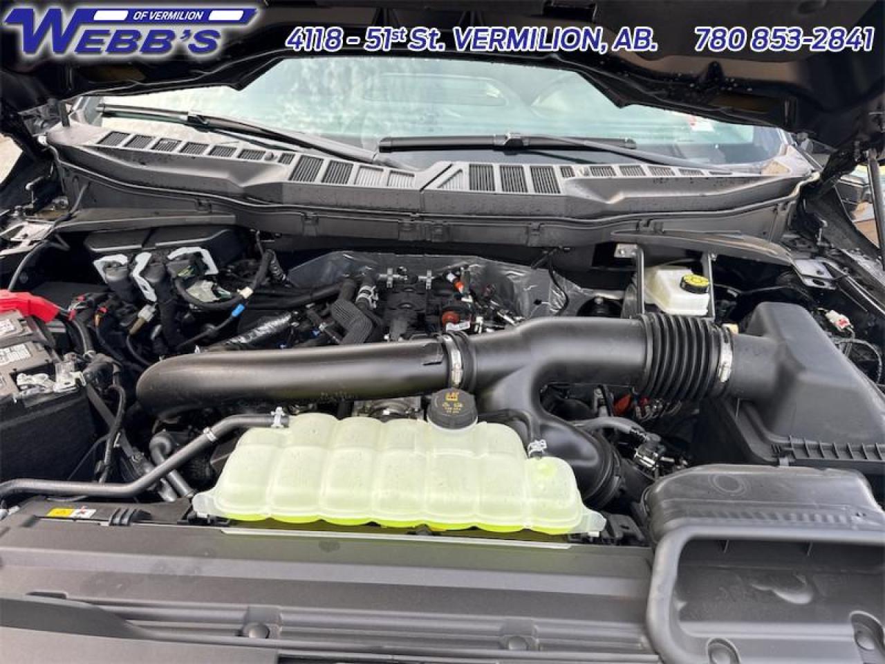 2025 Ford F-150 XLT Photo5