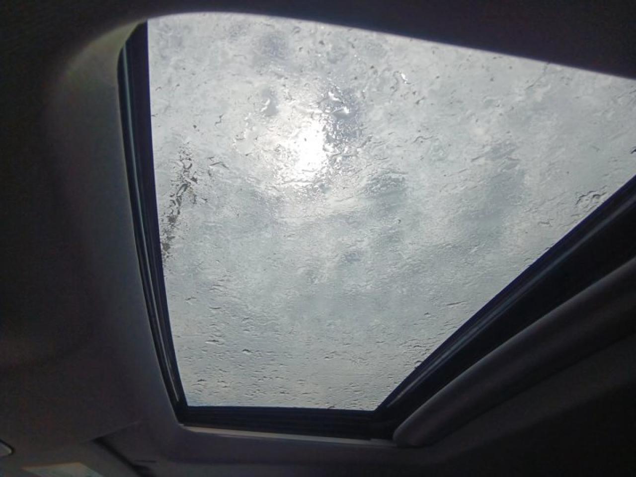 12647073