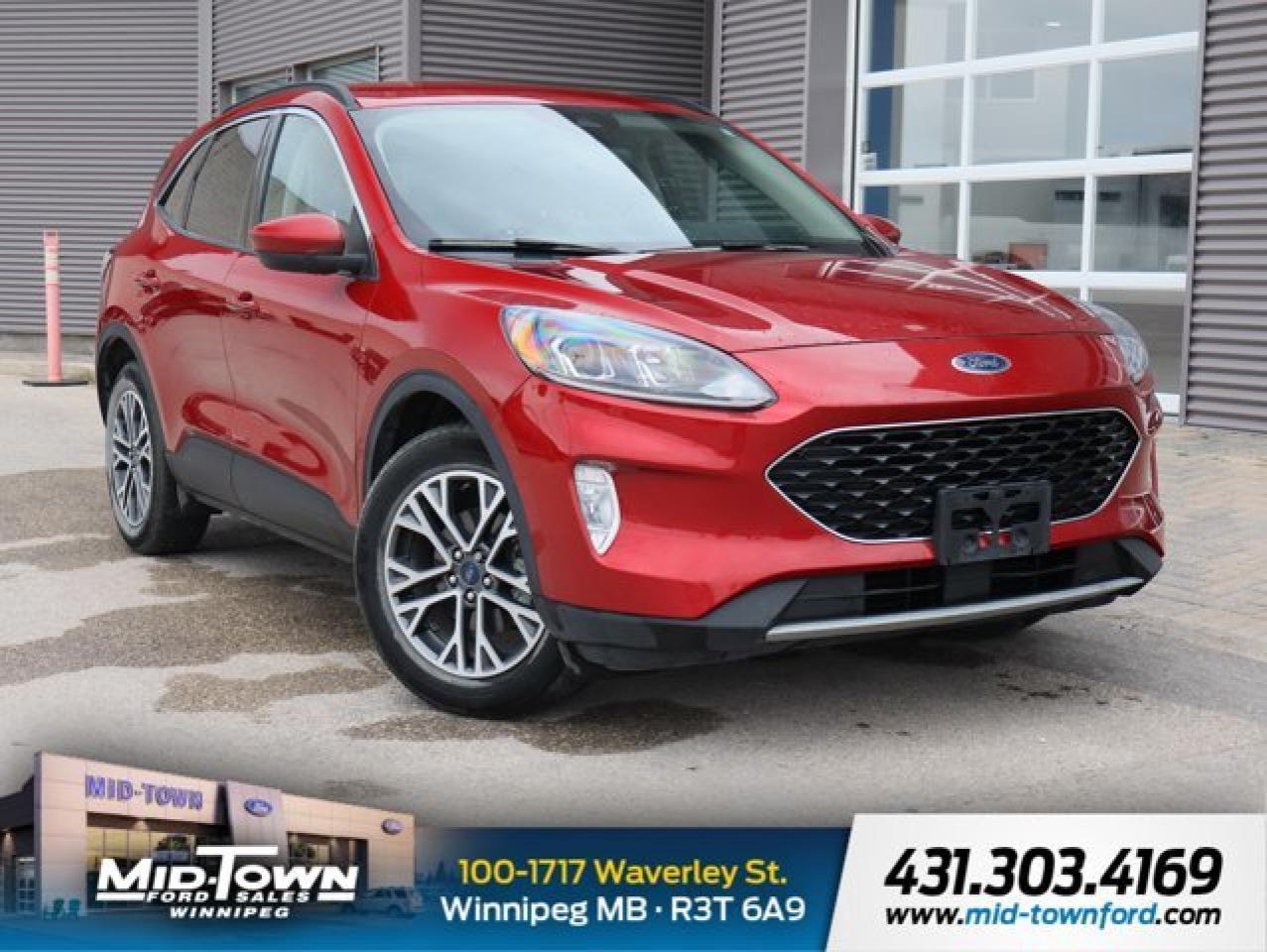 Used 2020 Ford Escape SEL for sale in Winnipeg, MB