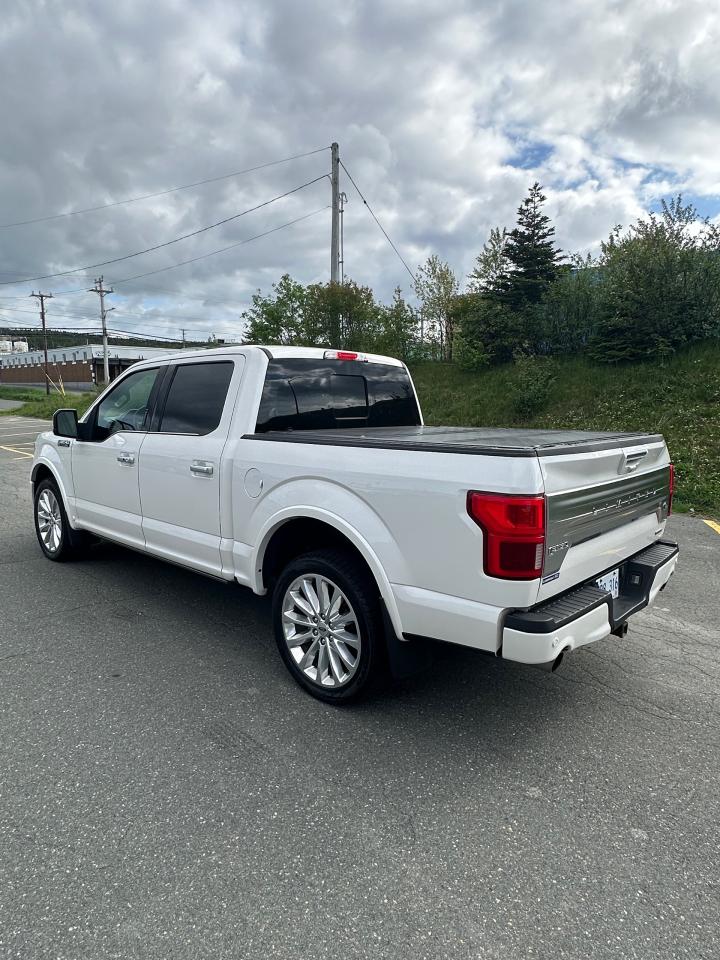 2019 Ford F-150 Limited 4WD SuperCrew 5.5' Box - Photo #3