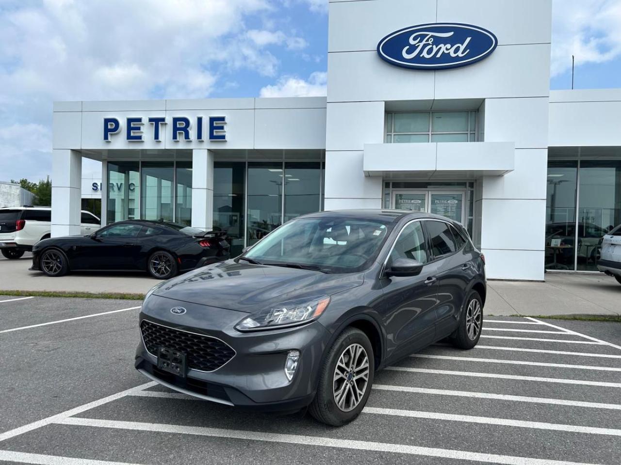 Used 2022 Ford Escape SEL for sale in Kingston, ON