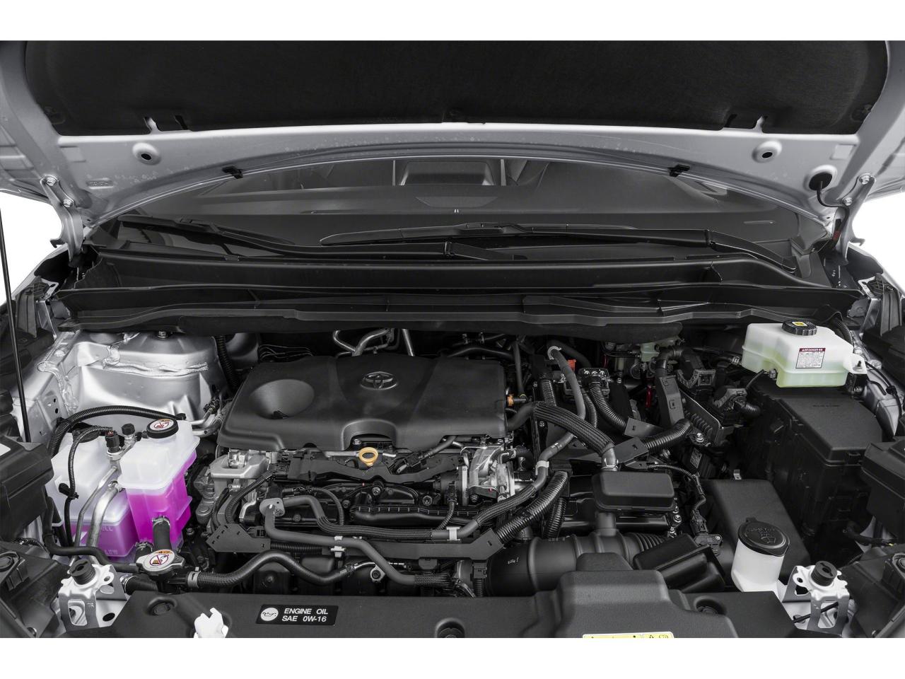 2025 Toyota Sienna XSE Photo