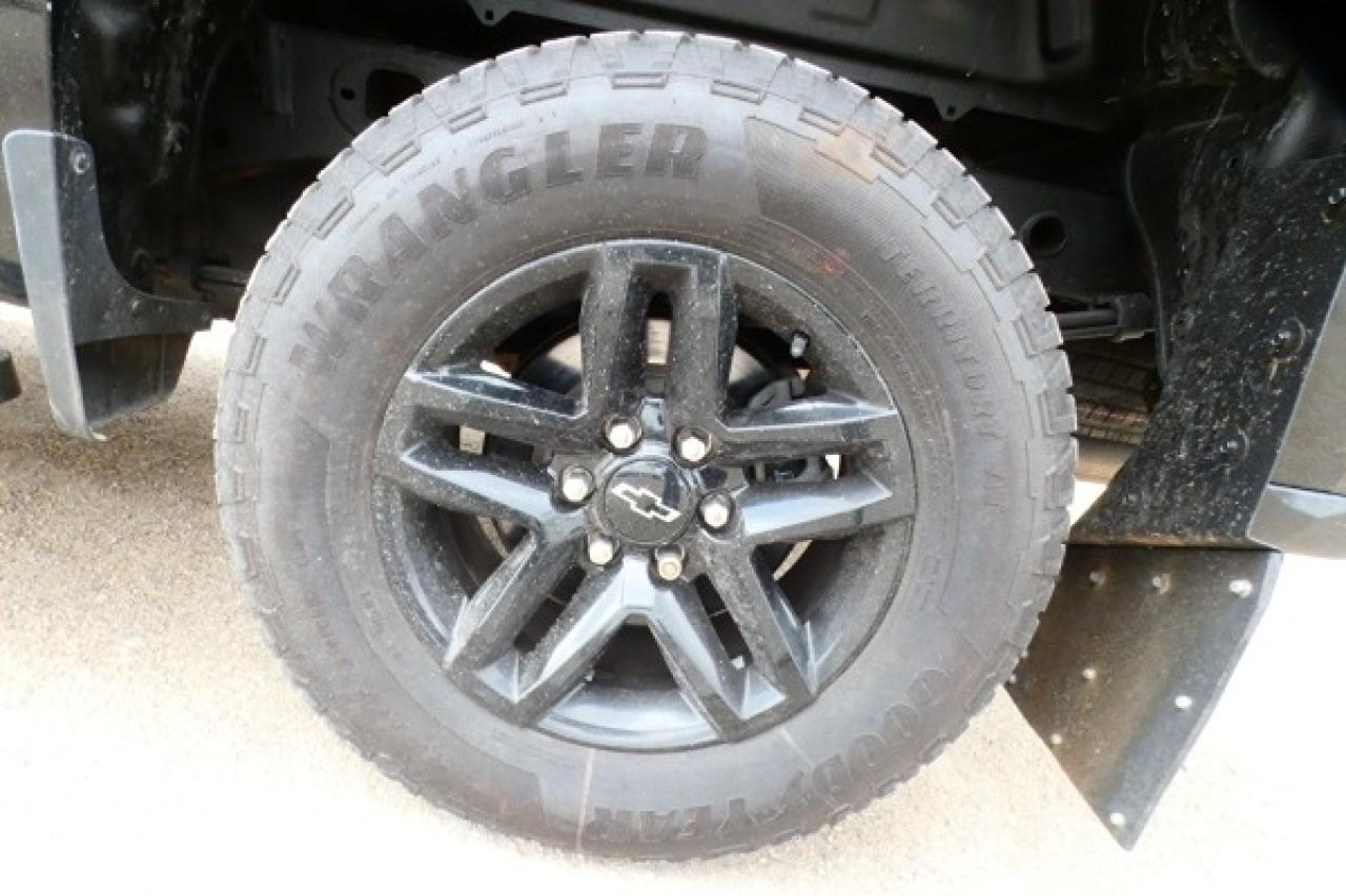 2021 Chevrolet Silverado 1500 Custom Trail Boss w/cloth seats, BUC - Photo #17