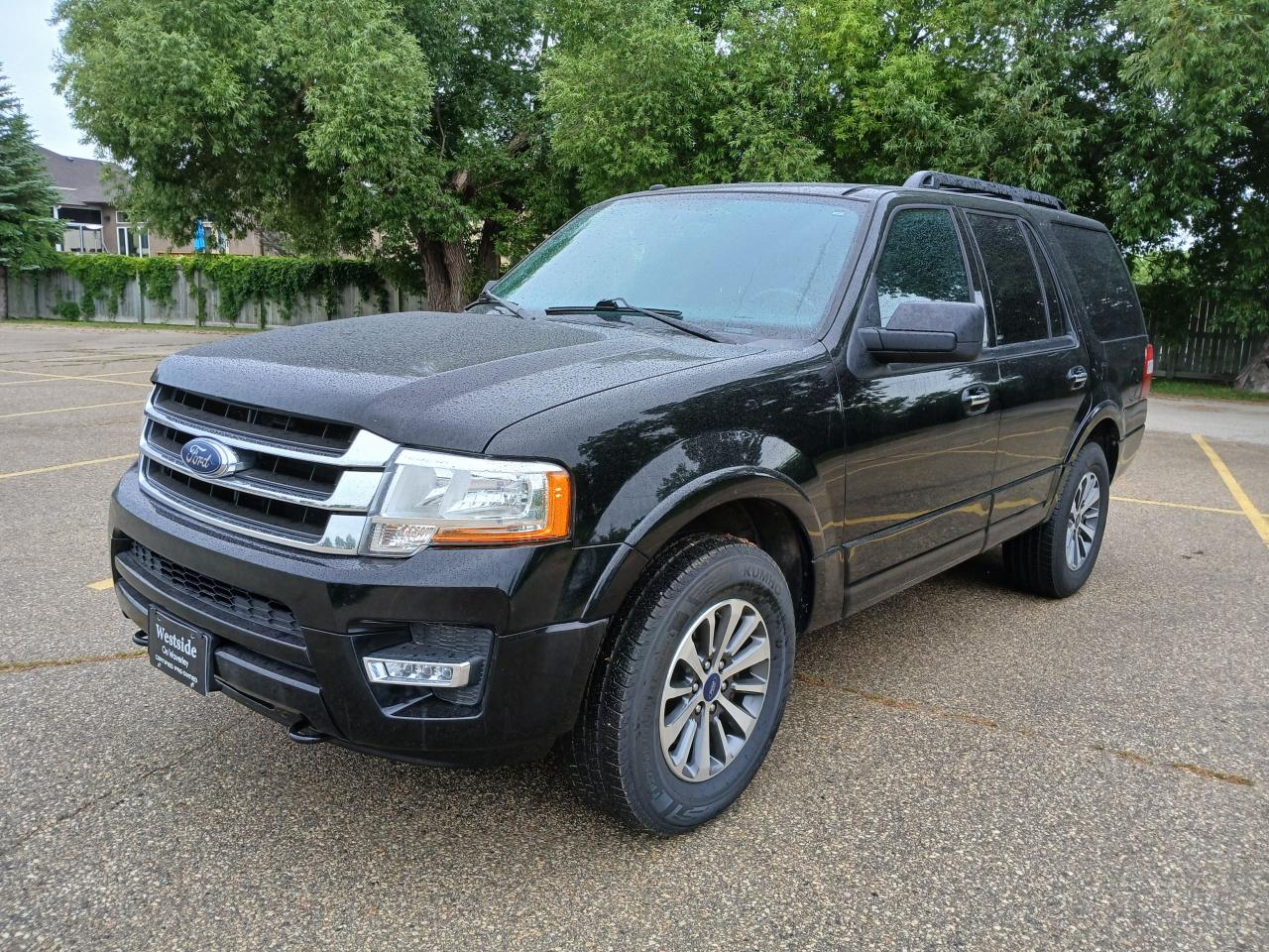 Used 2017 Ford Expedition XLT for sale in Winnipeg, MB