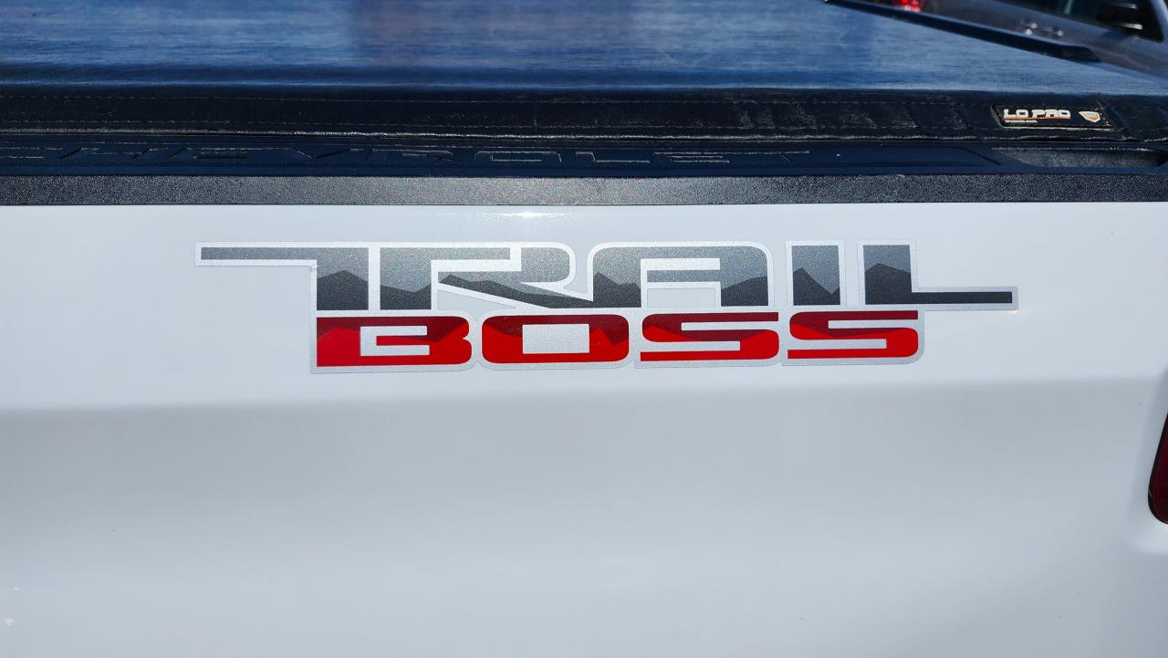2022 Chevrolet Silverado 1500 4x4 Custom Trail Boss Z71 BU Cam, Tow Package - Photo #9