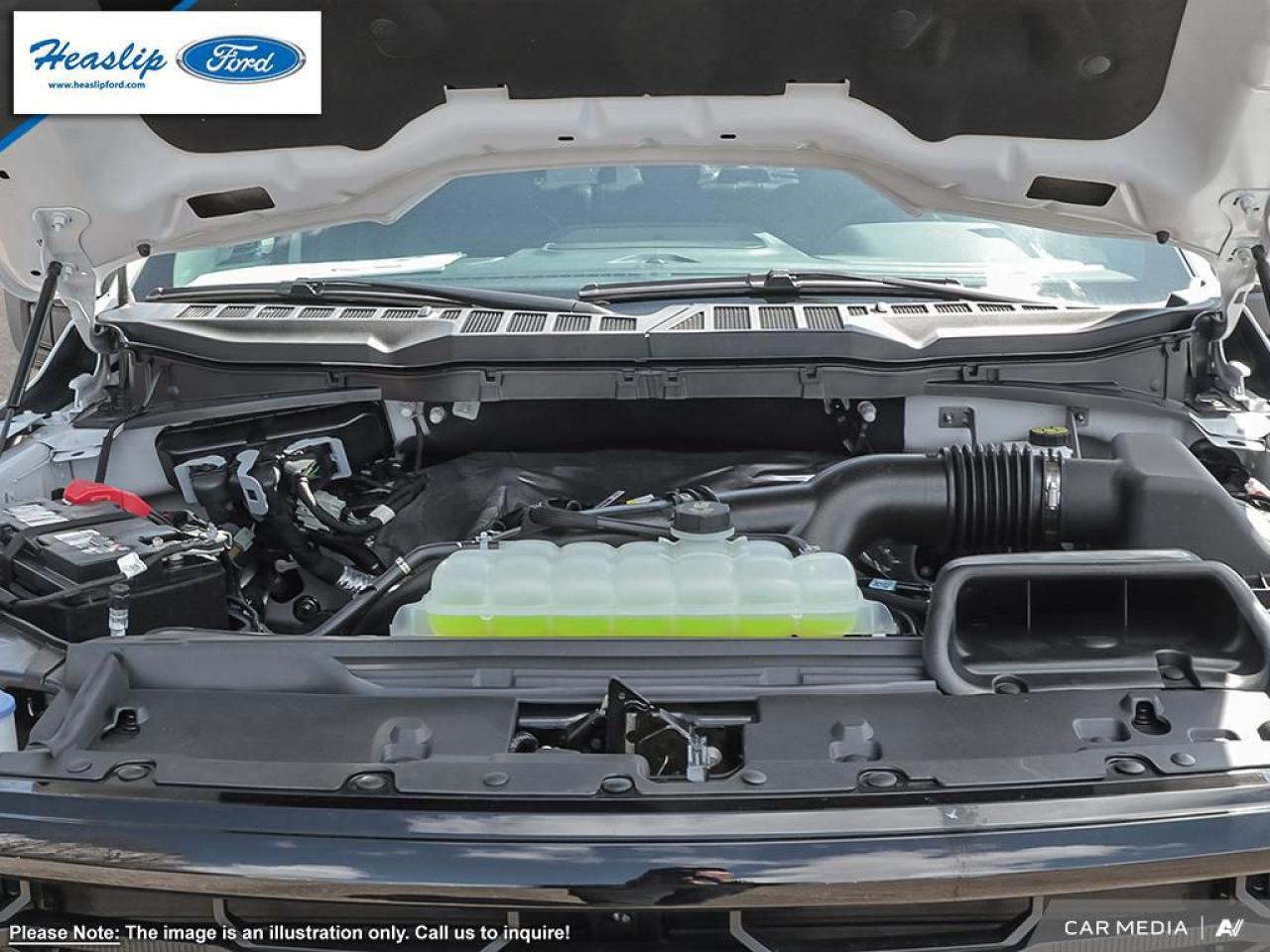 2025 Ford F-150 XLT Photo5