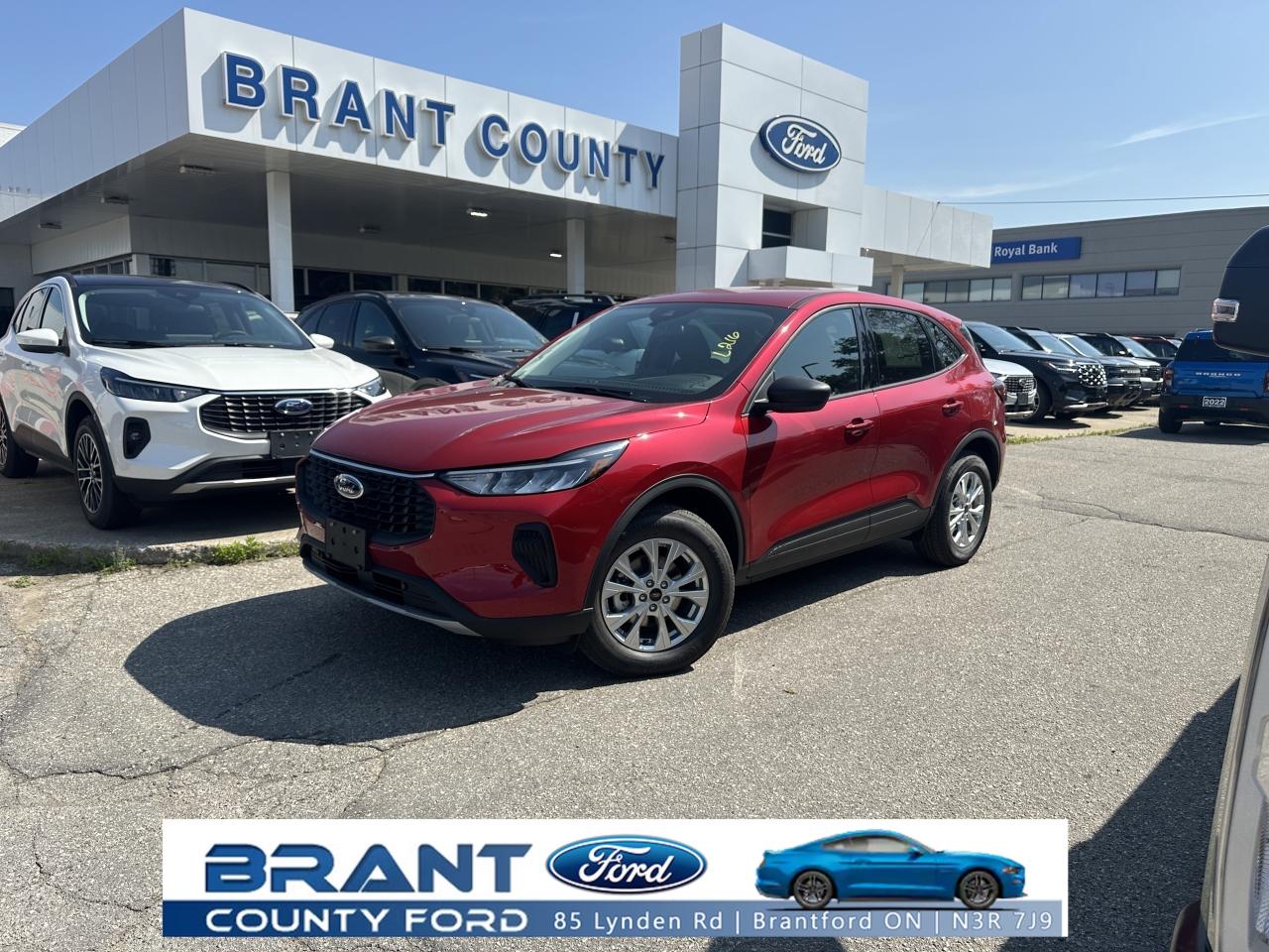 New 2025 Ford Escape Active for sale in Brantford, ON