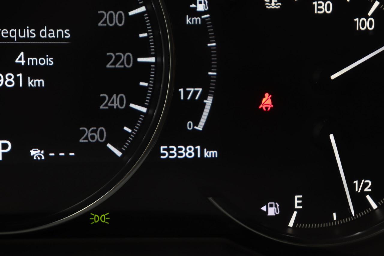 12651030