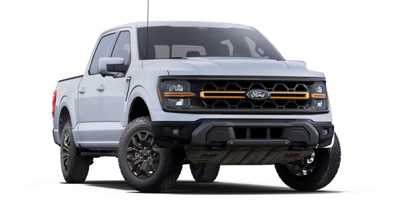 2025 Ford F-150 Tremor Photo3