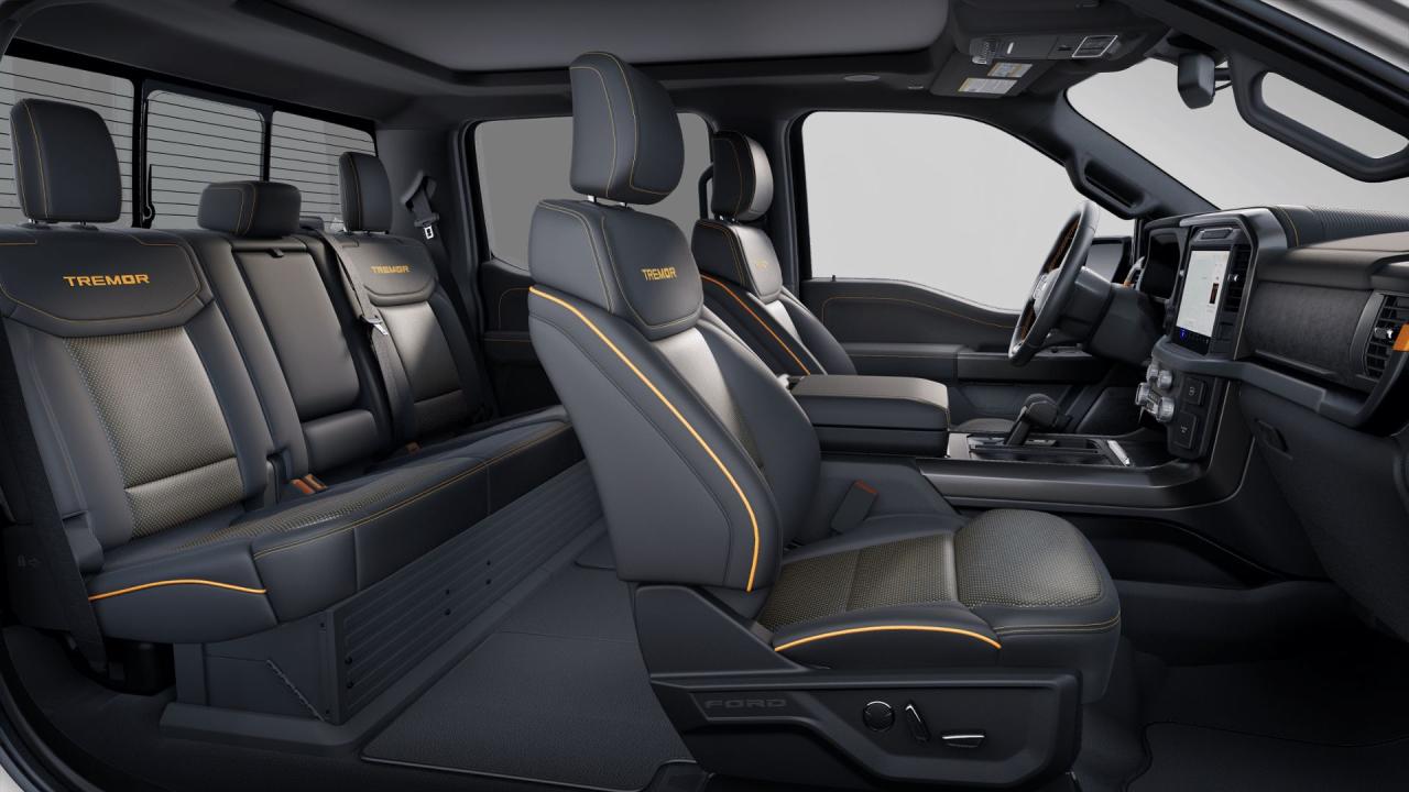 2025 Ford F-150 Tremor Photo5