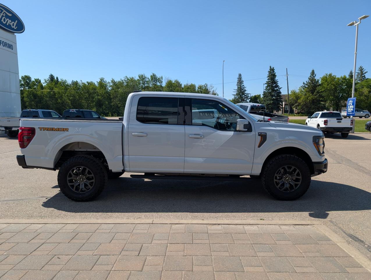 2025 Ford F-150 Tremor Photo4