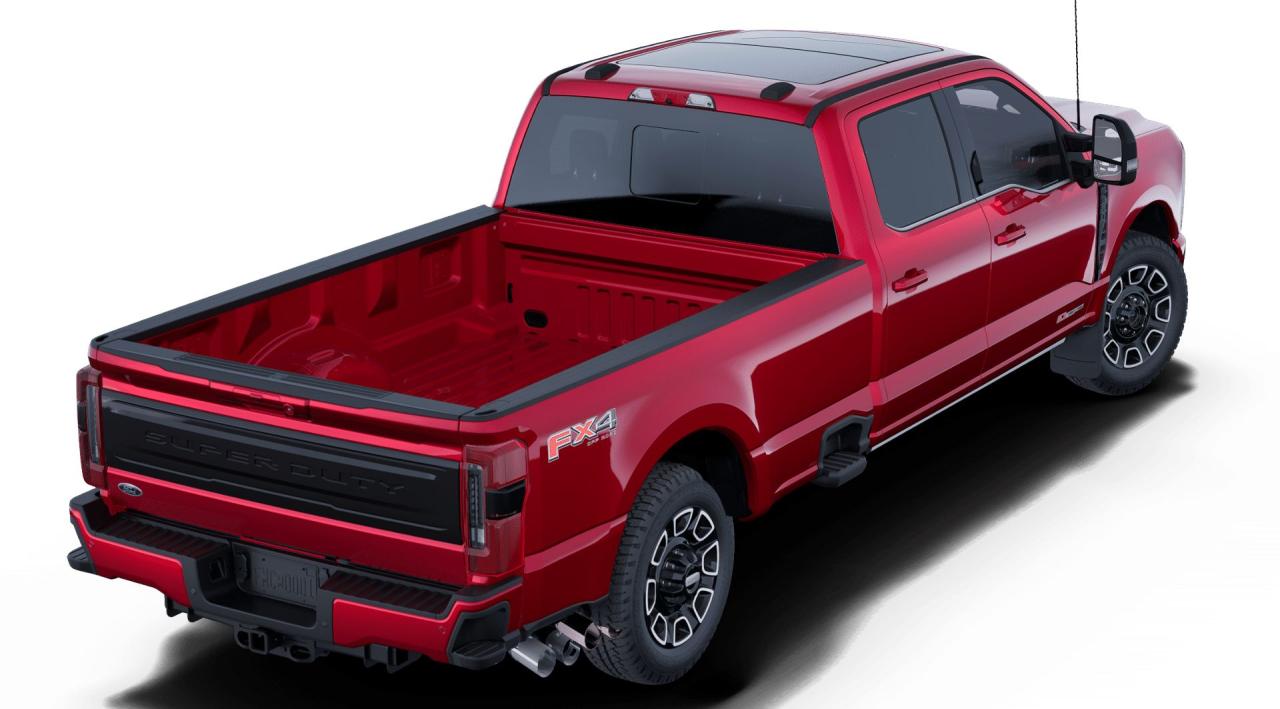 2025 Ford SUPER DUTY F-350 SRW F-350® Platinum® Photo5