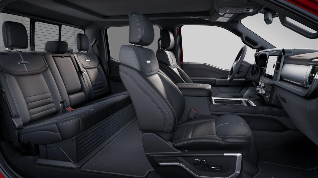 2025 Ford SUPER DUTY F-350 SRW F-350® Platinum® Photo5