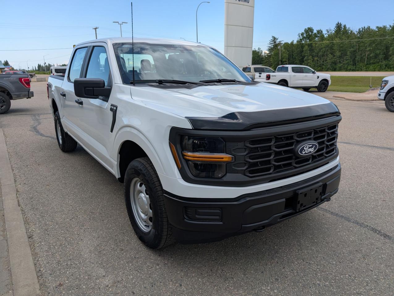 2025 Ford F-150 XL Photo