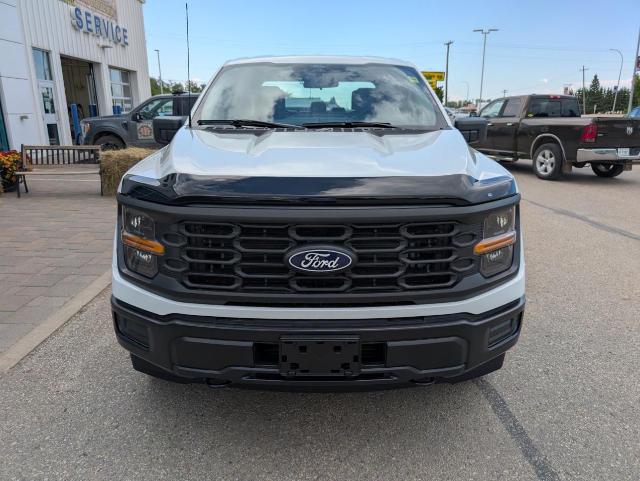 2025 Ford F-150 XL Photo